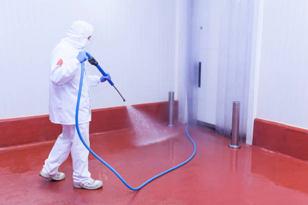 Spring Cleaning in Parkville, PA